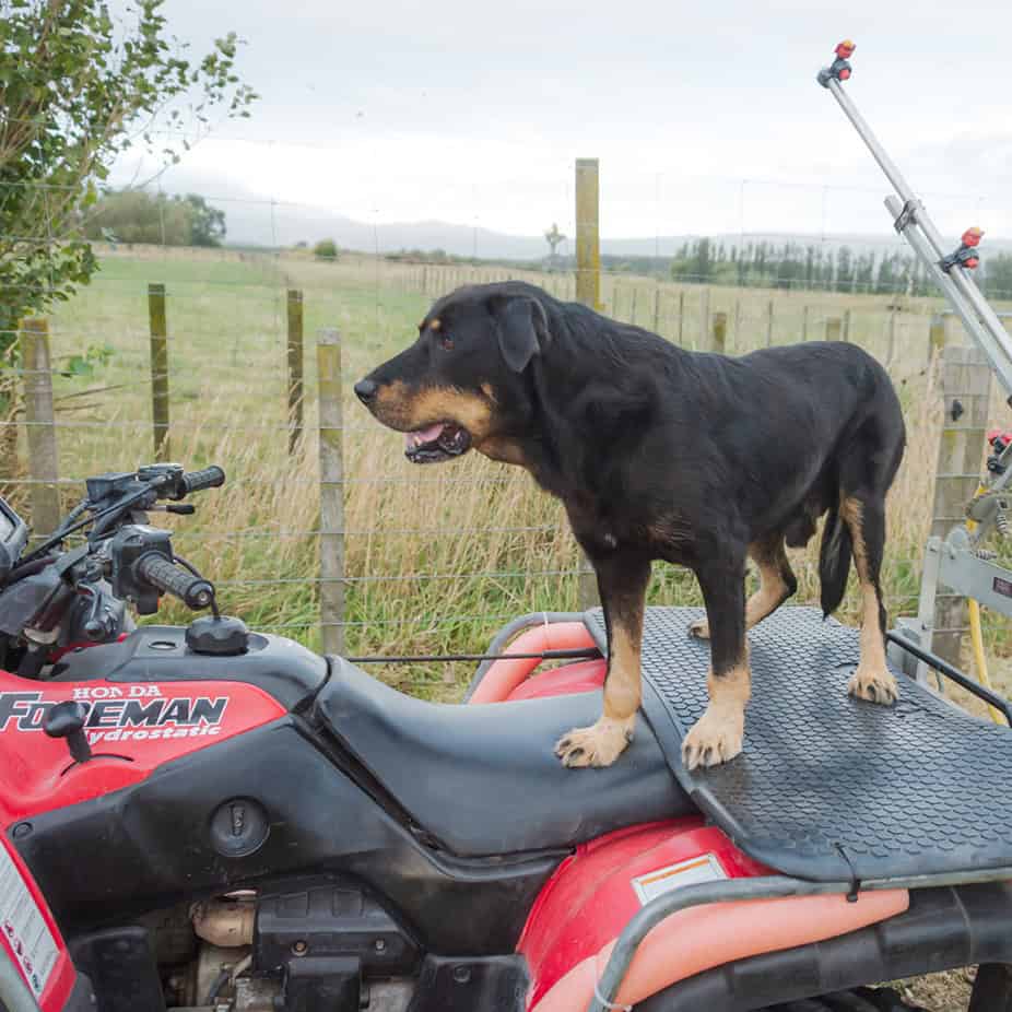 1000031886 1000031886