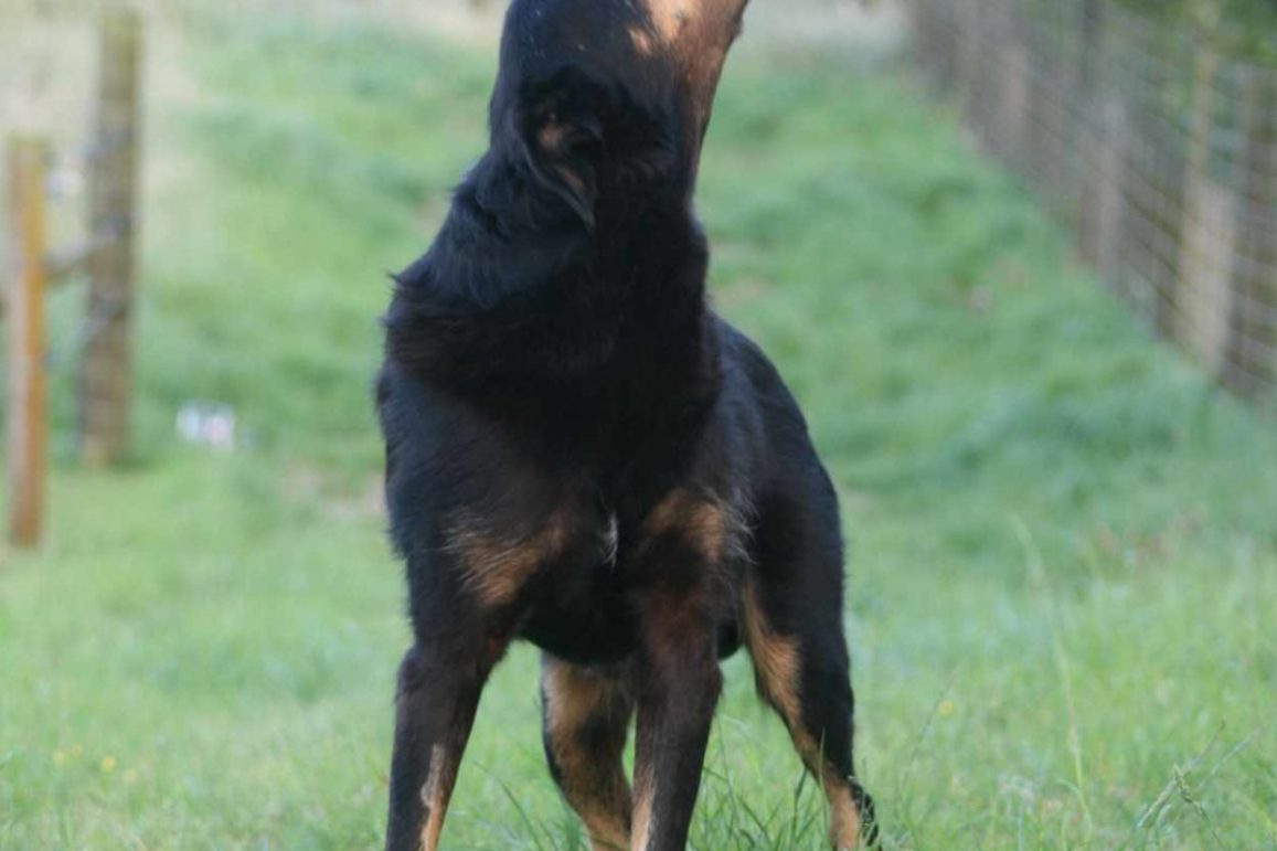 1000033990 1000033990