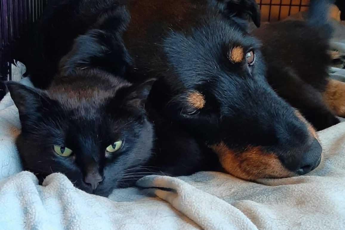 1000033992 1000033992