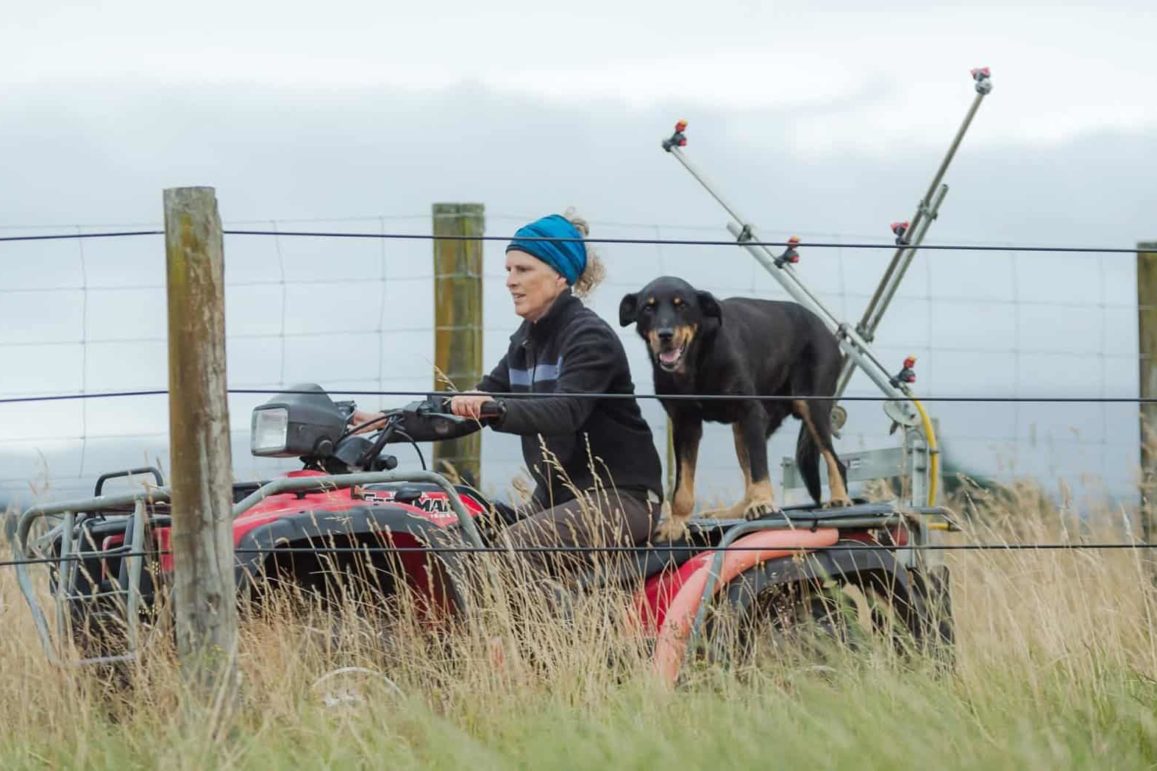 1000033993 1000033993