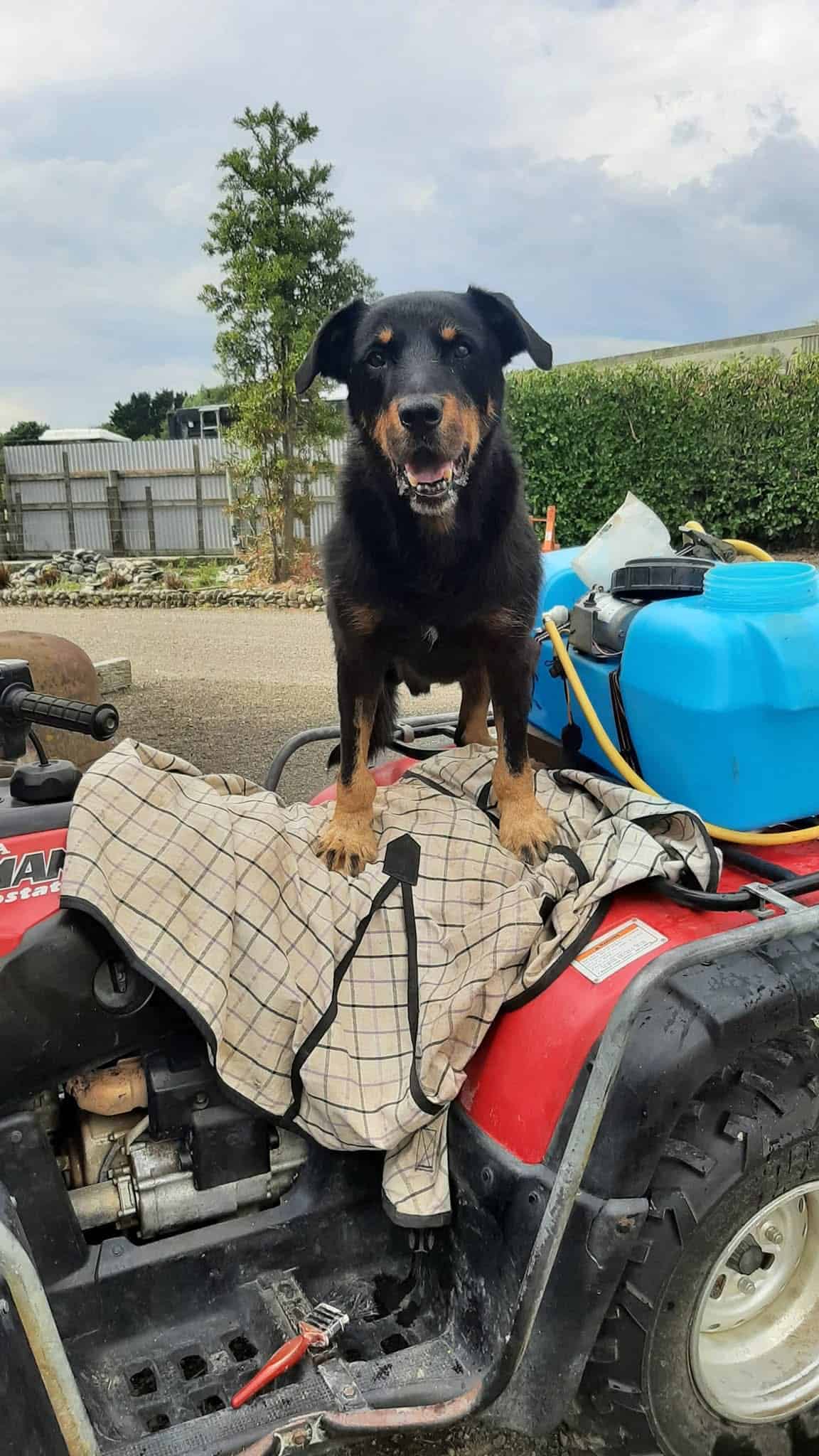 1000033994 1000033994