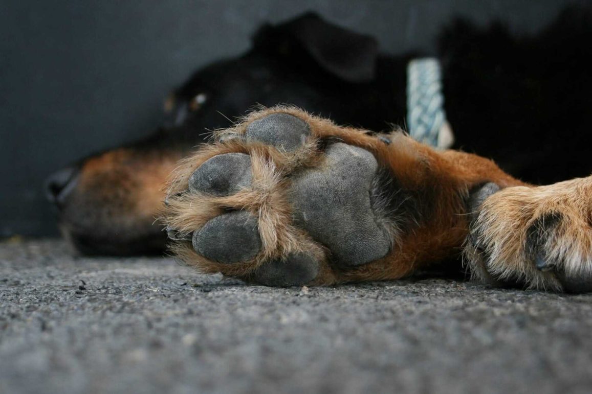 1000033995 1000033995